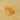 Jewelry wholesale Wholesale Molten Metal Trendy 304 Stainless Steel Stud Earrings-18K Gold Plated, Waterproof