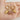 Jewelry wholesale Fashion Feather Natural Sea Urchin Stone Stainless Steel Earrings