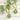 Jewelry wholesale New Arrival Cat's Eye Stone Boho Vintage Earrings
