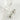 Jewelry wholesale 18k Pearl Personalized Hundred Stainless Steel Earrings