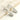Jewelry wholesale Stainless Steel Fashion Personalized Light Luxury Style Hook Earrings
