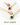 Zircon Jewelry