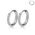 Jewelry wholesale Wholesale G23Titanium 18G Clicker Ring CZ Huggie Hoops Earrings