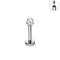 Jewelry wholesale Wholesale G23 Titanium 16G Internally Threaded Flat Back Ring Pearl Piercing