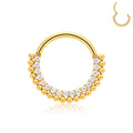 Jewelry wholesale Wholesale G23 Titanium 16G Clicker Hoop CZ Single Beaded Row-Ear/Nose Ring