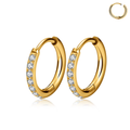 Jewelry wholesale Wholesale G23Titanium 18G Clicker Ring CZ Huggie Hoops Earrings