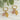 Jewelry wholesale Fashion Feather Natural Sea Urchin Stone Stainless Steel Earrings