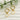 Jewelry wholesale Light Luxury Simple Pearl Stainless Steel Earrings Wholesale