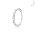 Jewelry wholesale G23 Titanium Clicker Ring – CZ Segment Hoop, ASTM F-136 Certified