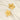 Jewelry wholesale Simple Ins Gold Petal Flower Stainless Steel Earrings