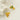 Jewelry wholesale Stainless Steel with Zirconia Pineapple Stud Earrings