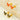 Jewelry wholesale Butterfly Stainless Steel and Colored Enamel Earrings