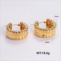 Jewelry wholesale Wholesale Polish Anti Allergy Geometric Stainless Steel Twisted Earrings