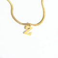 Jewelry wholesale Wholesale Letter Pendant Flat Snake Stainless steel Necklaces